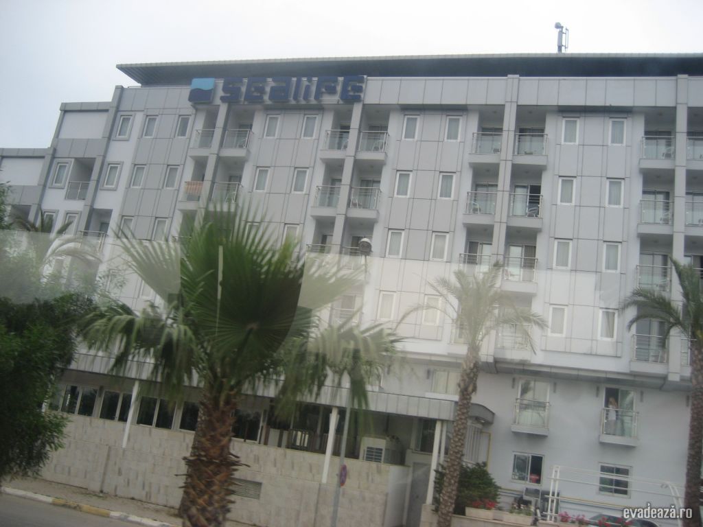 Sea Life Hotel | 4